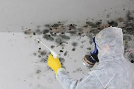 Best Biohazard Mold Removal  in USA